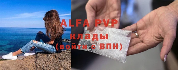 спиды Богданович