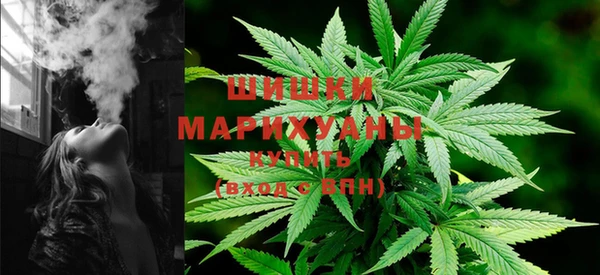 спиды Богданович