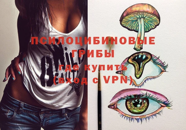 гидропоника Богородск