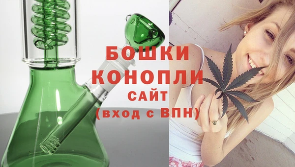 спиды Богданович