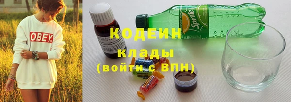 спиды Богданович