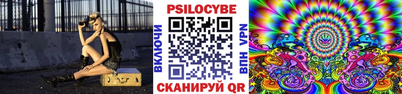 Псилоцибиновые грибы GOLDEN TEACHER  Пенза 