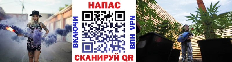 где найти   Пенза  Канабис MAZAR 